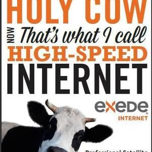 Meet your Posher, Frank